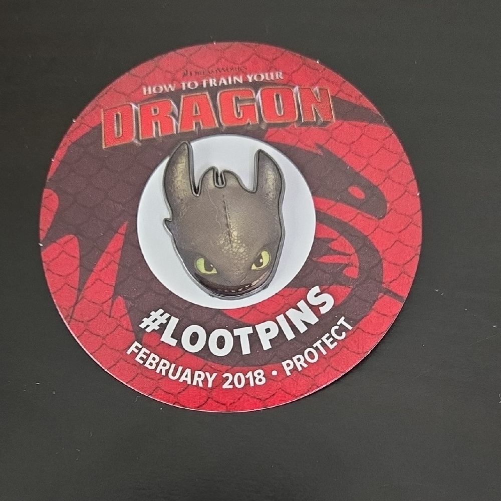 How to Train Your Dragon Toothless - Protect February 2018 - Loot Crate Pin
